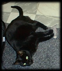 O, wat zijn wij blij ...